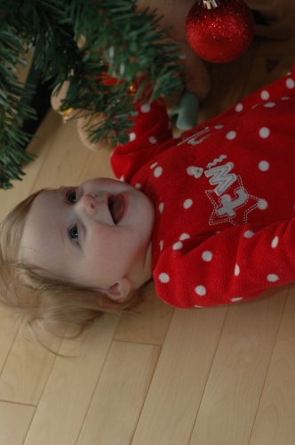Bailey rolled under the Christmas tree and was delighted with the decorations, lights, and branches. 