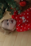 Bailey rolled under the Christmas tree and was delighted with the decorations, lights, and branches. 