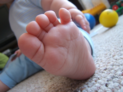 Don't you just want to eat those toes?