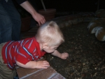 The name of the game was pulling pennies from the water and throwing them back in.