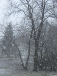 The year's first snowfall.